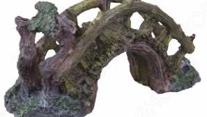 Jak udělat auto pro akvárium sami?